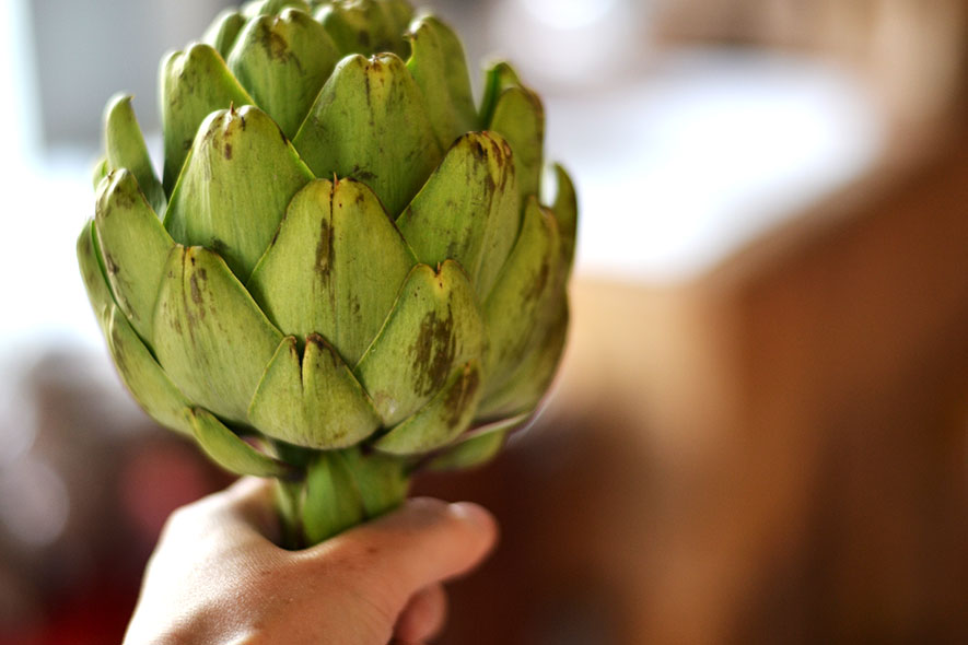 Artichoke